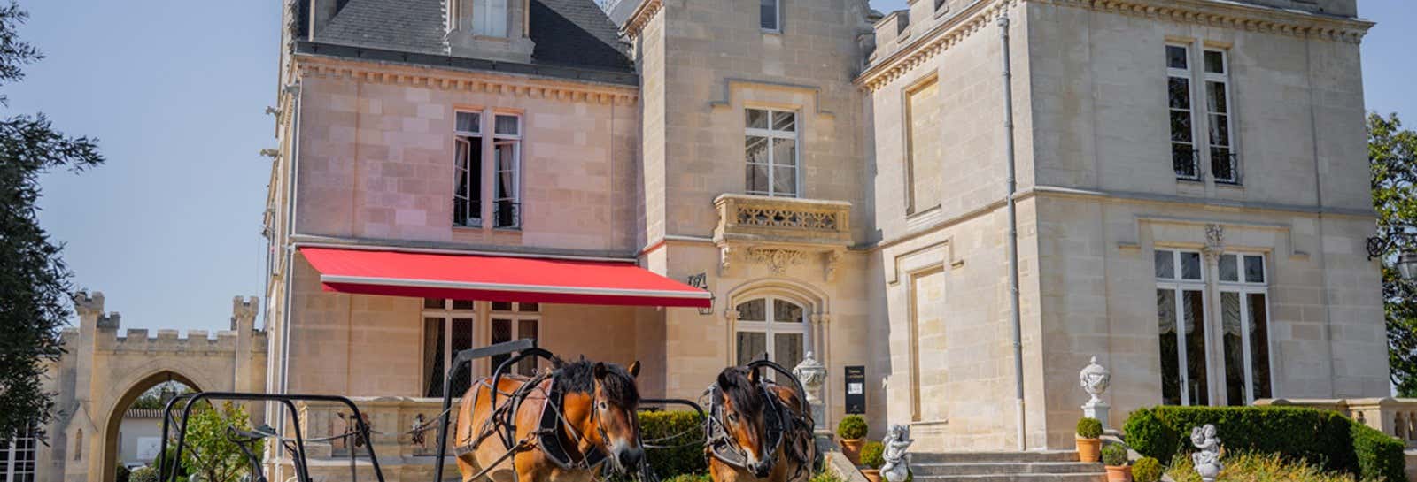 Château Pape Clément Tour