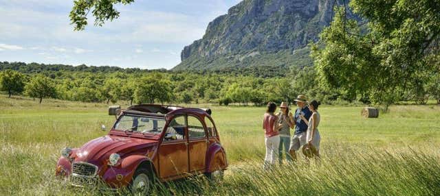 Tour privato delle cantine della Linguadoca in Citroën 2CV