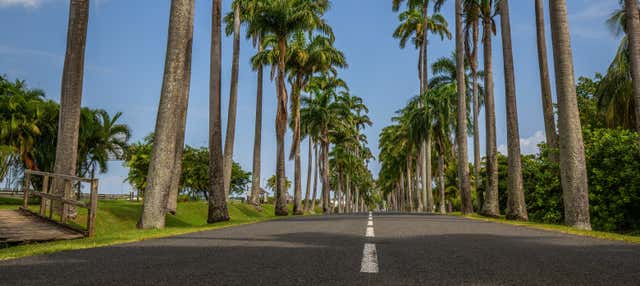 Tour della Guadalupa in moto