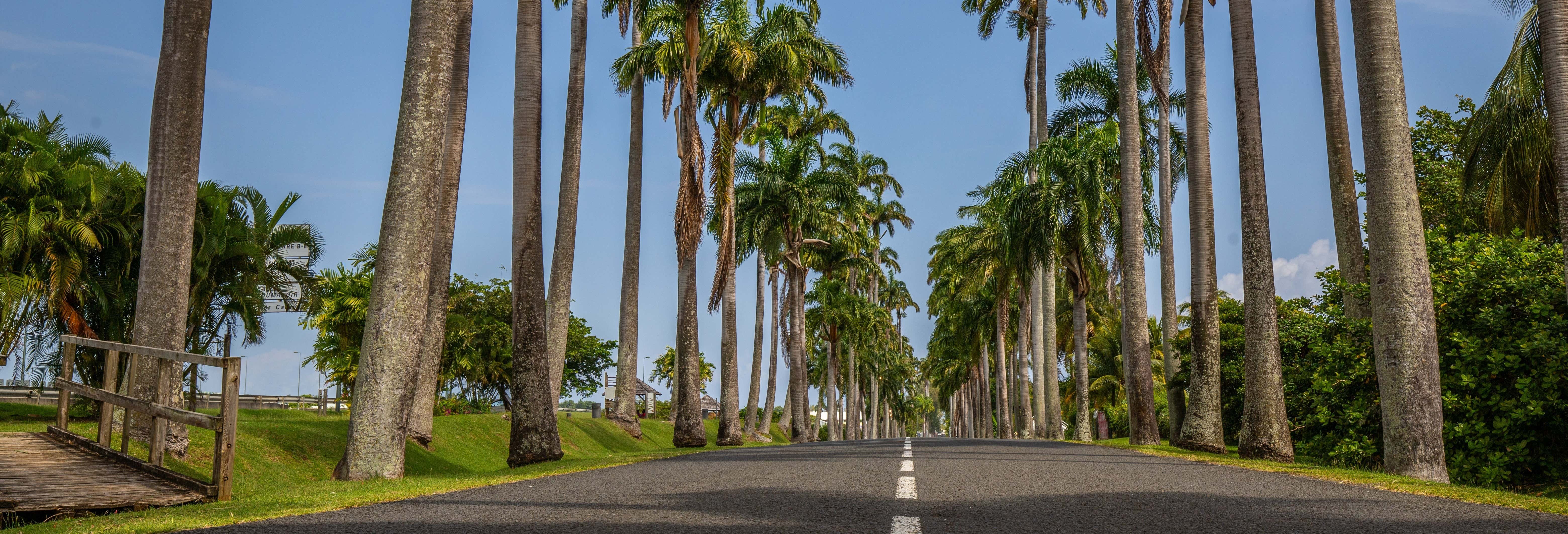 Tour della Guadalupa in moto