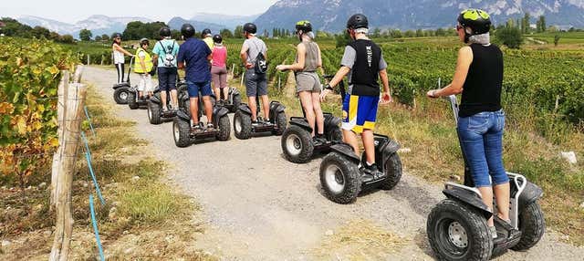 Tour dei vigneti del lago di Sant'Andrea in segway