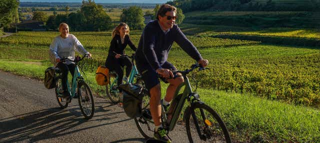 Tour dei vigneti di Saint-Émilion in bici elettrica + Degustazione di vino