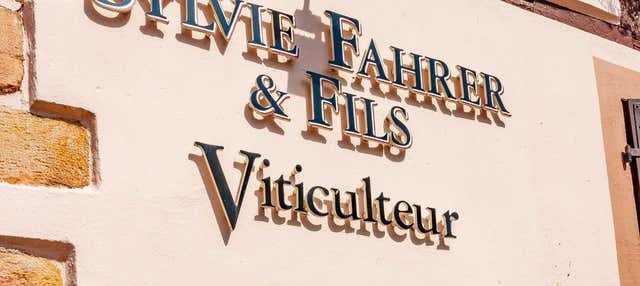 Visita alle cantine Sylvie Fahrer et Fils