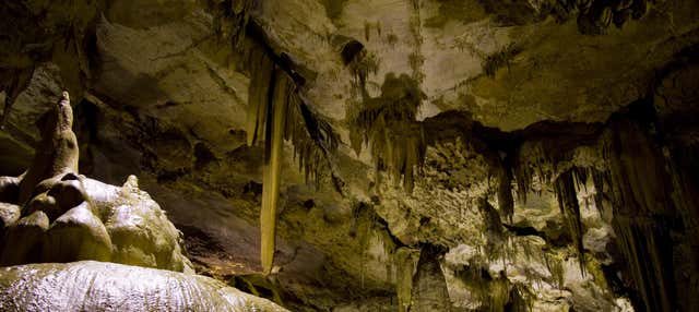 Visita guiada por las Grutas de Bétharram