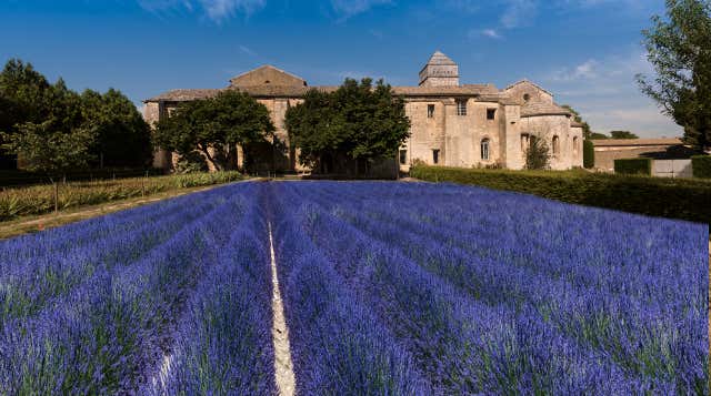 Saint Rémy de Provence