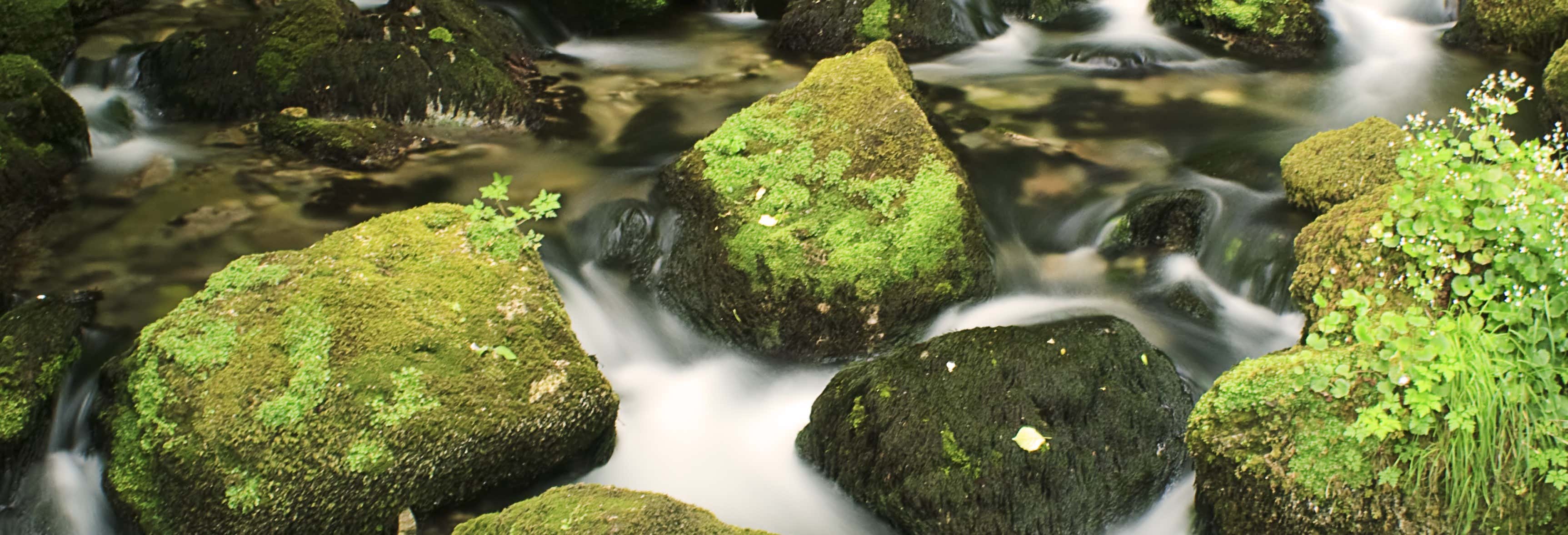 Canyoning in the Gorges du Furon