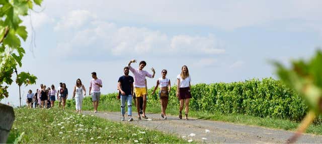 Visita a un vigneto di Saumur