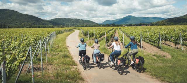 Tour della Strada dei Vini d'Alsazia in bici