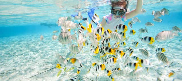 Power snorkeling a Tahiti