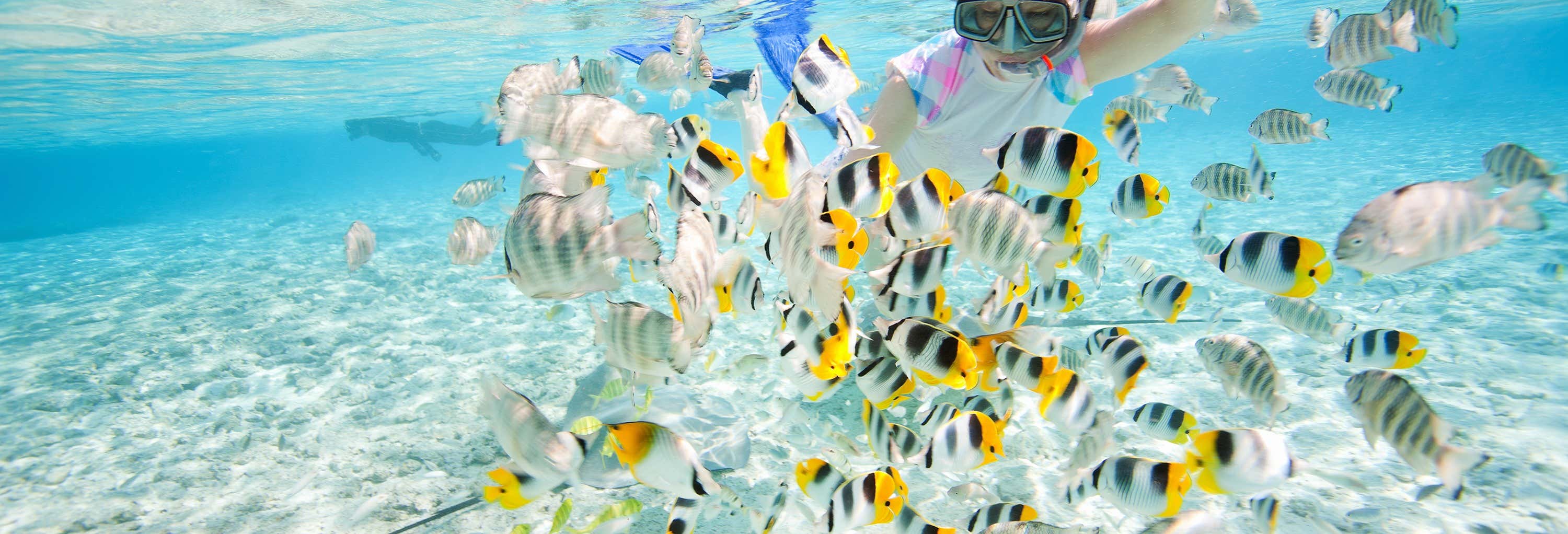 Power snorkeling a Tahiti