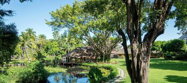 Visita guidata di Papeete