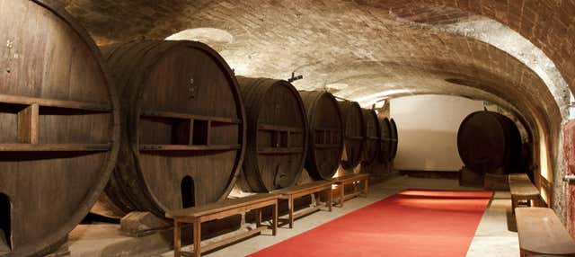 Visita a la bodega del Château de Saint Martin