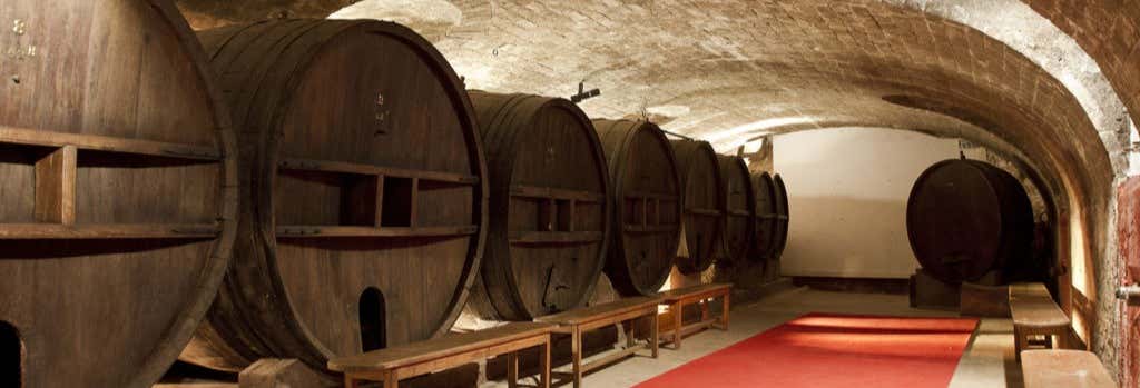 Visita a la bodega del Château de Saint Martin