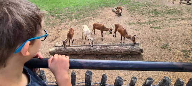 Biglietti per il Parc du Thot