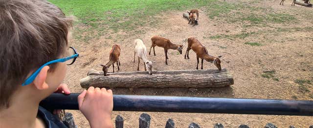 Billet pour le Parc du Thot