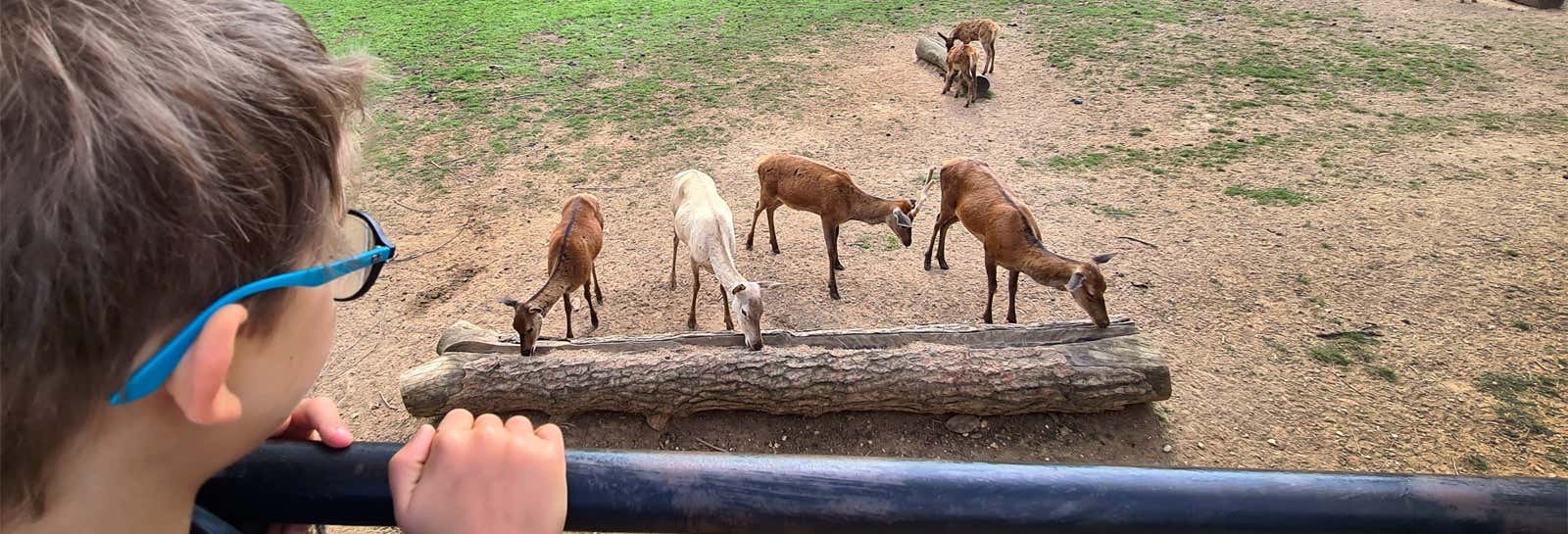 Biglietti per il Parc du Thot