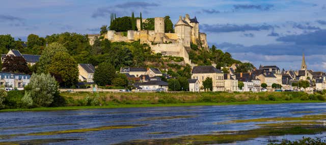 Escursione a Chinon + Visita a due cantine della Loira