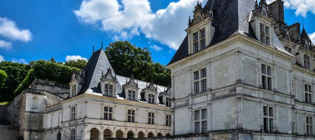 Tour dei castelli di Villandry e Azay-le-Rideau