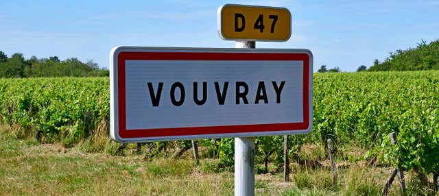 Tour dei vini della Loira