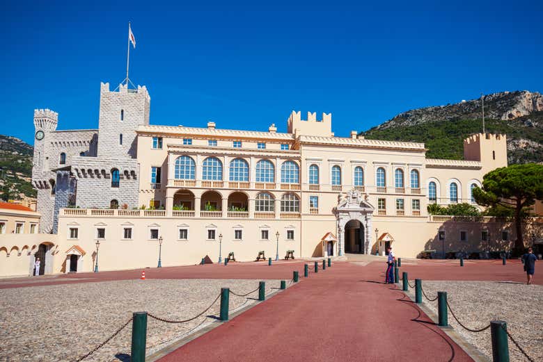 Imagen 6