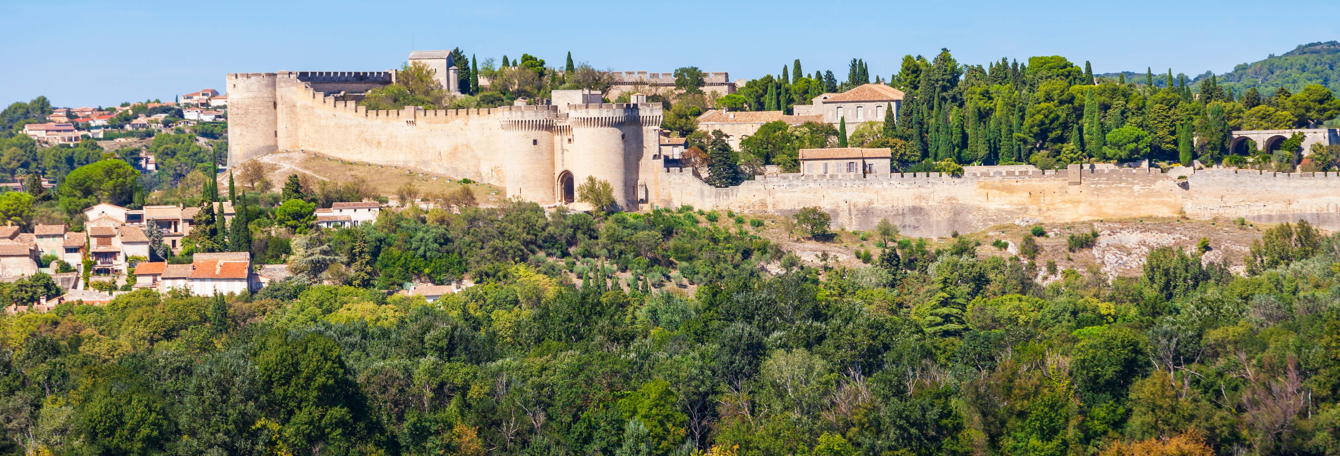 Fort Saint-André Ticket