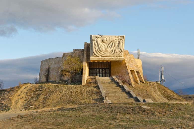 Imagen 5