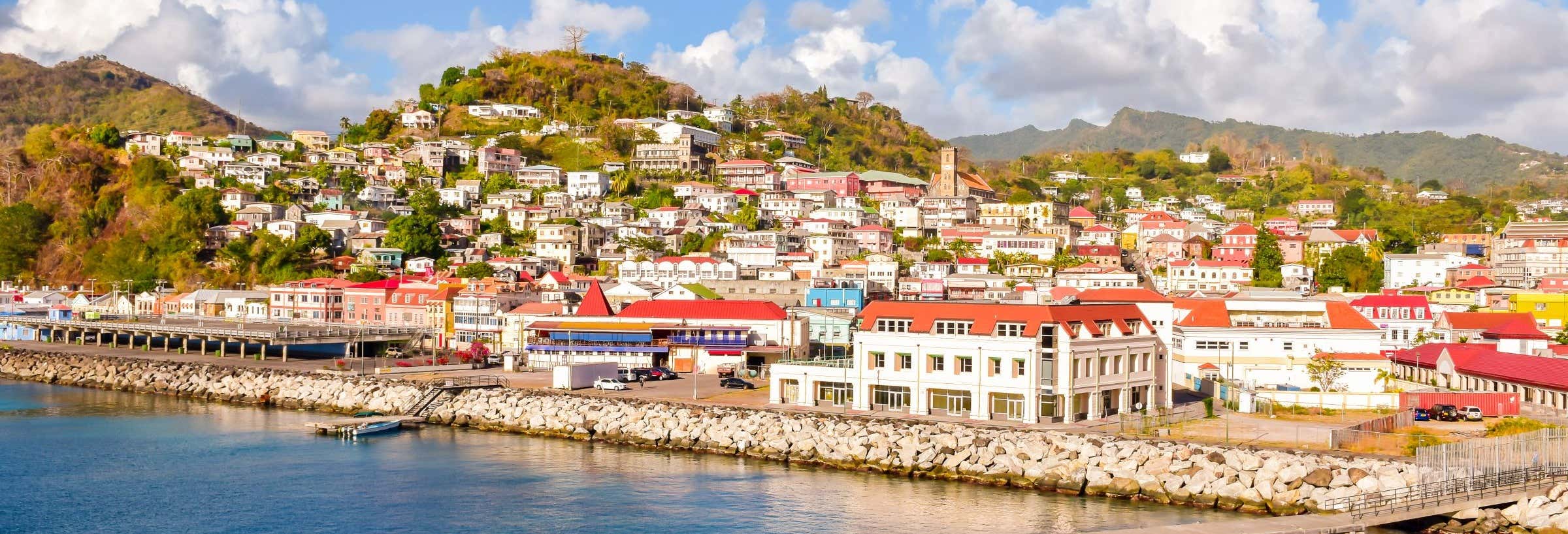 Tour di Saint George + Parco Nazionale Grand Etang e cascate di Annandale