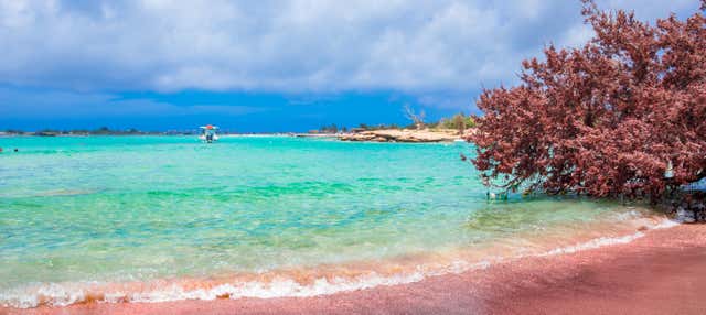 Escursione alla spiaggia di Elafonisi