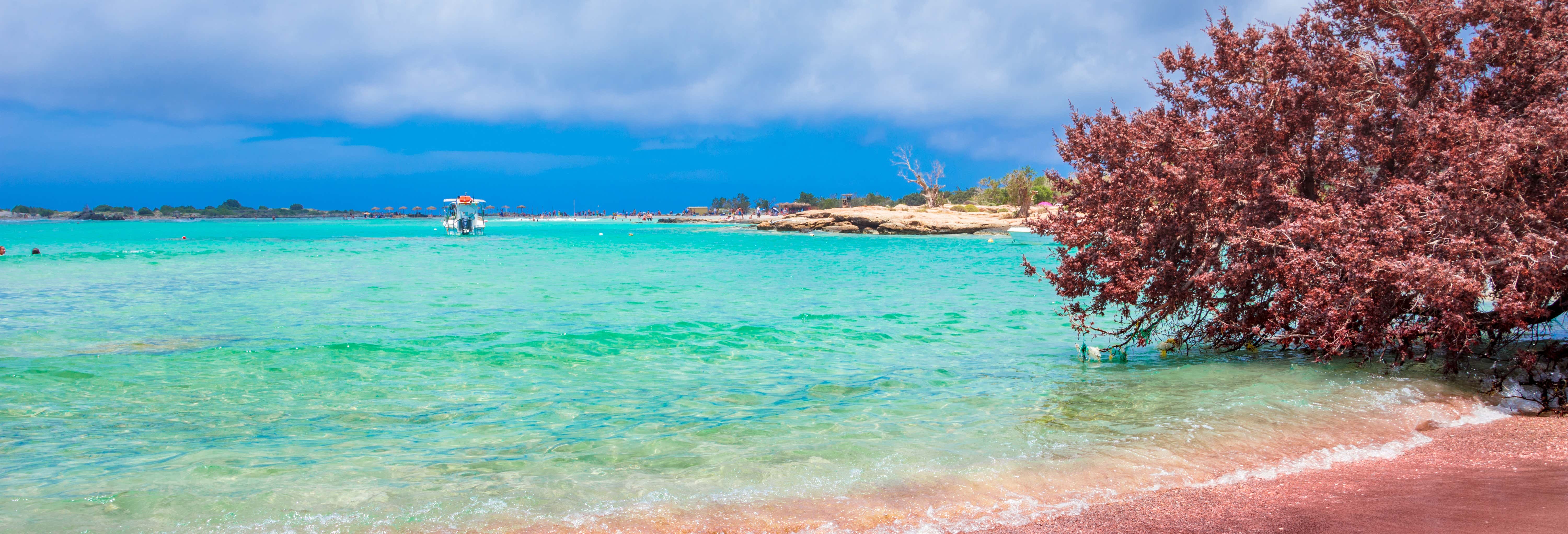 Escursione alla spiaggia di Elafonisi