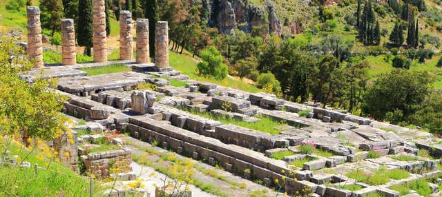 Biglietti per il Sito archeologico di Delfi