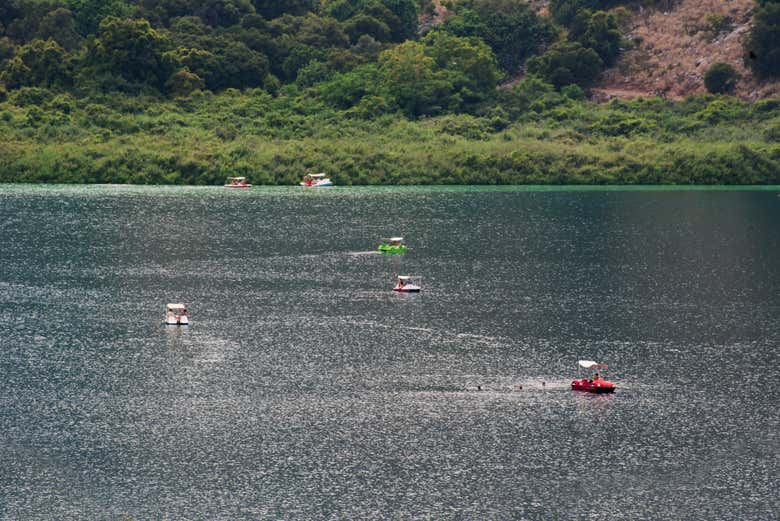 Imagen 7