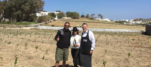 Degustazione di vino in una fattoria di Mykonos