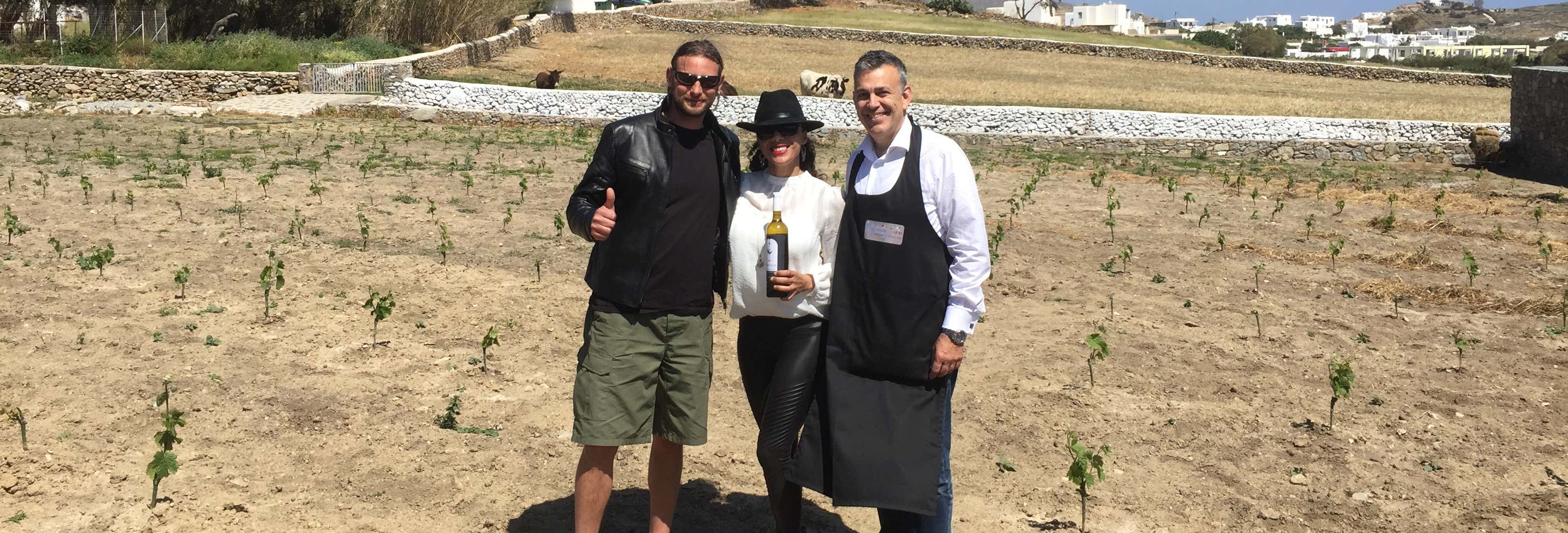 Degustazione di vino in una fattoria di Mykonos