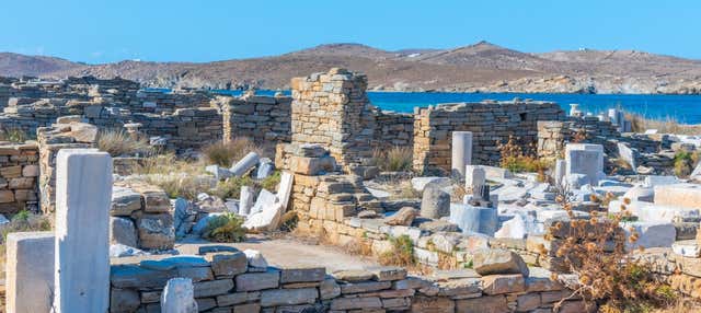 Escursione a Delo e Mykonos