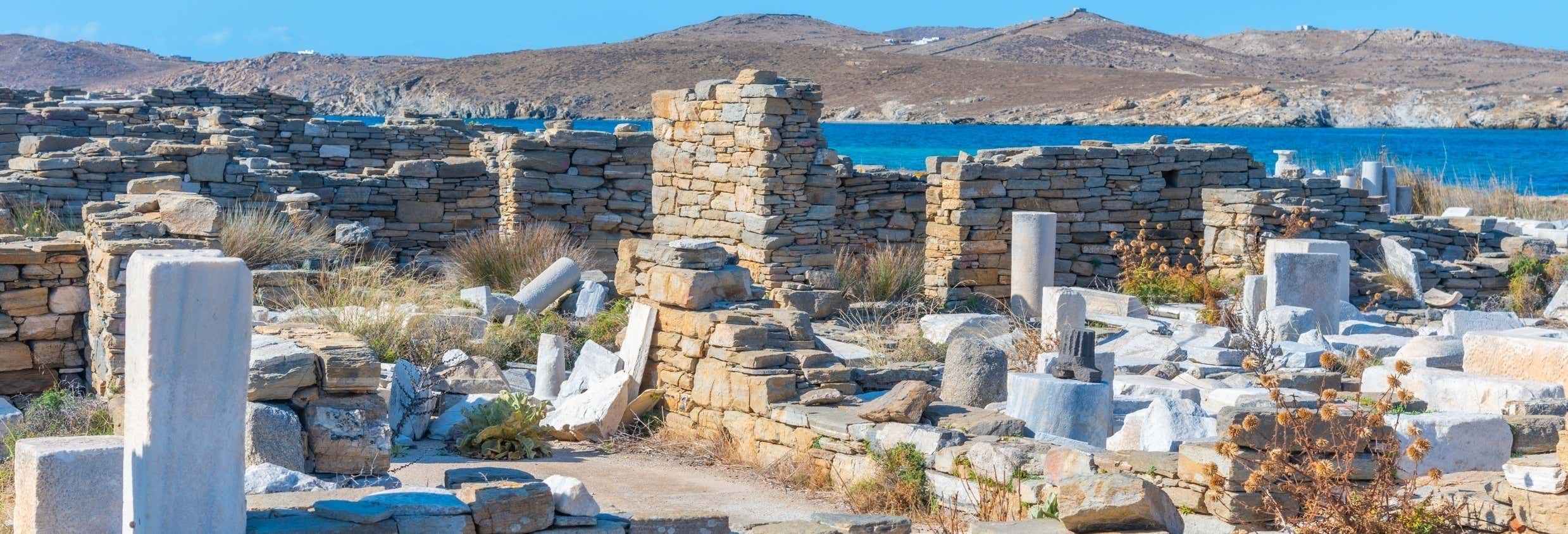 Escursione a Delo e Mykonos