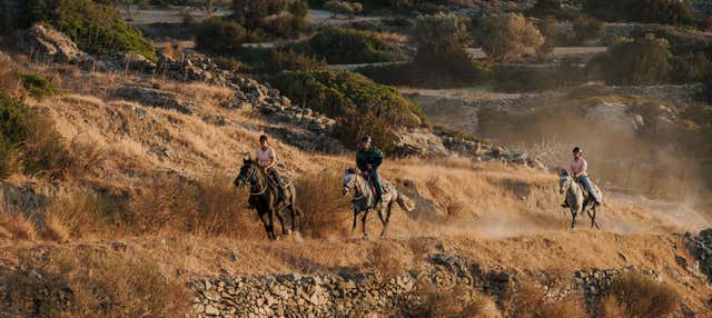 Passeggiata a cavallo a Paros