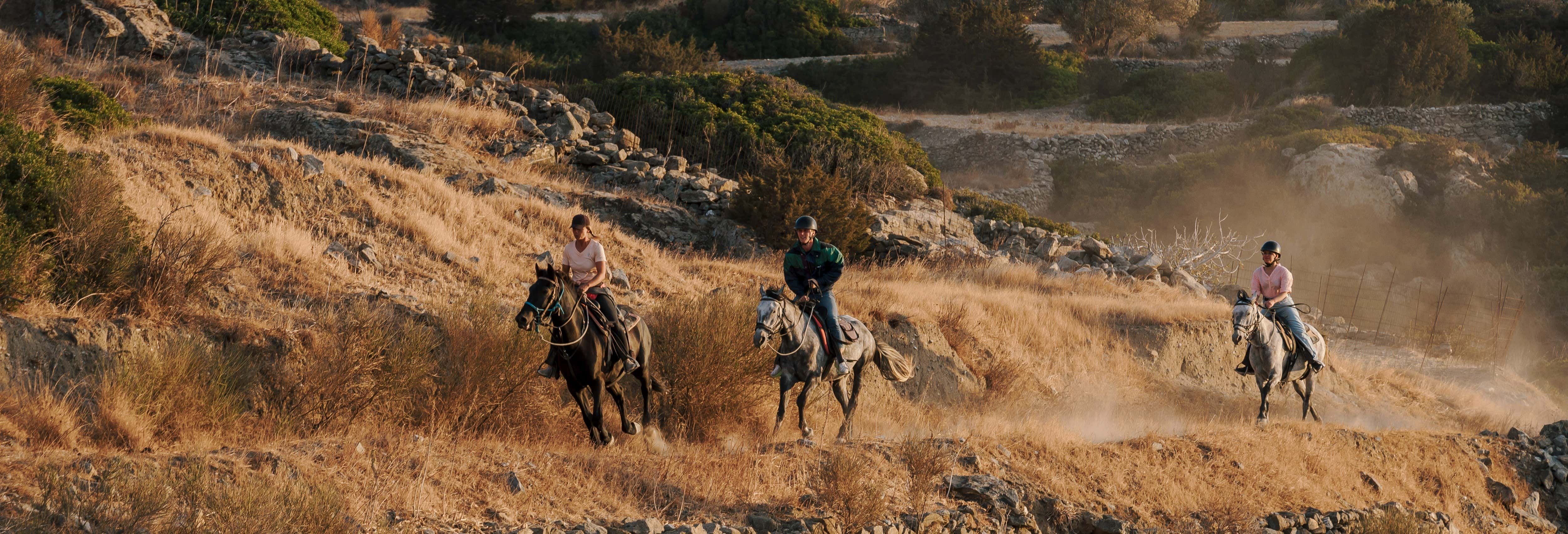 Passeggiata a cavallo a Paros