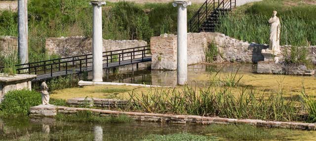 Escursione al Monte Olimpo e Dion