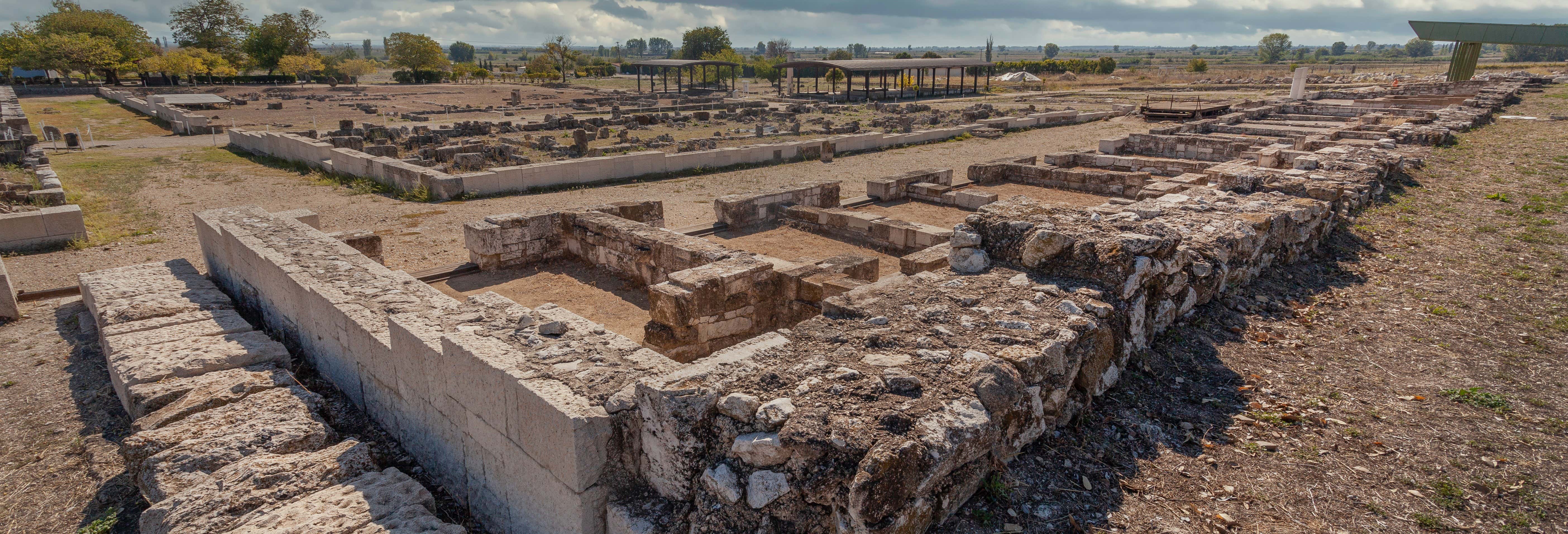 Escursione a Pella e Vergina