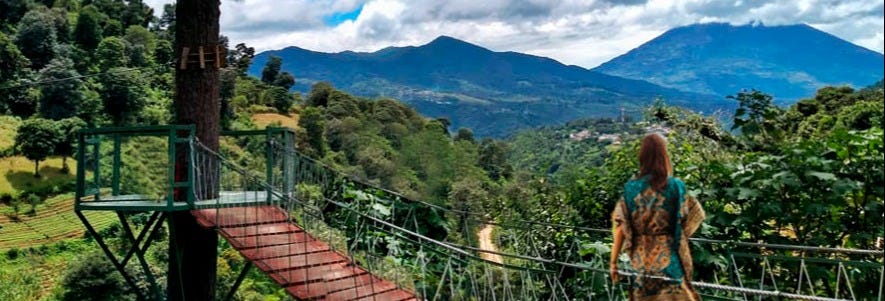 Paseo de las Nubes Farm Excursion