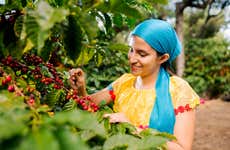 Tour del café por una finca de Antigua Guatemala