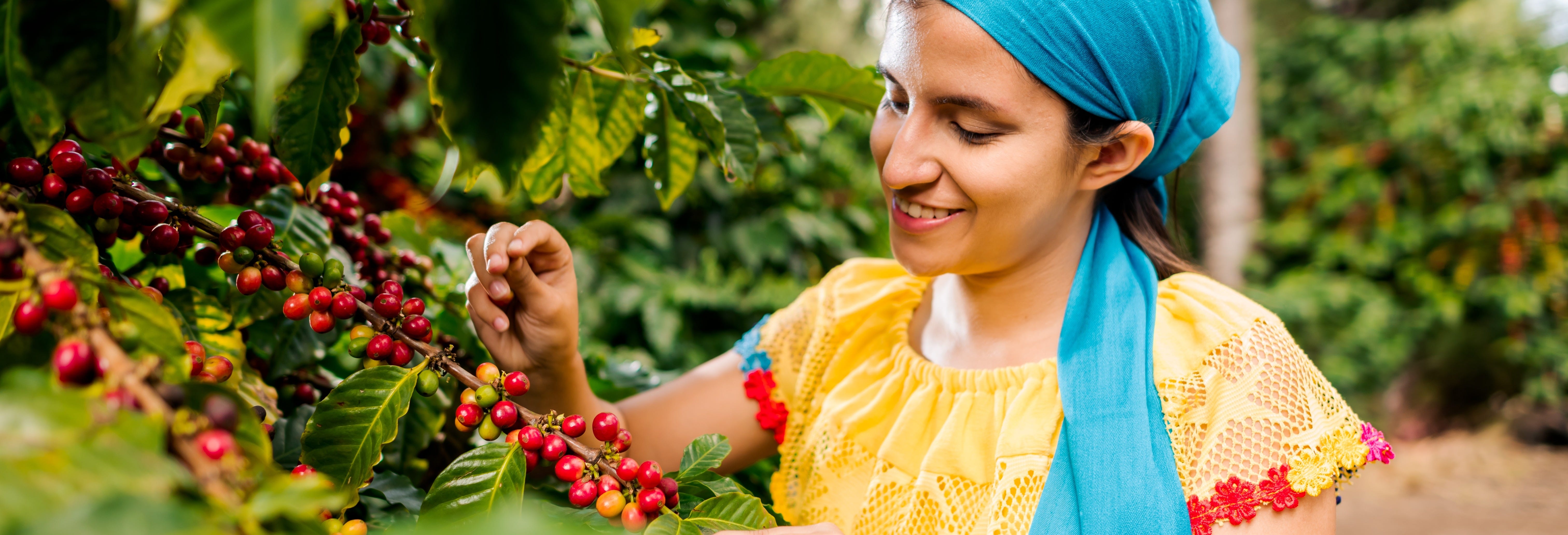 Finca Colombia Coffee Tour