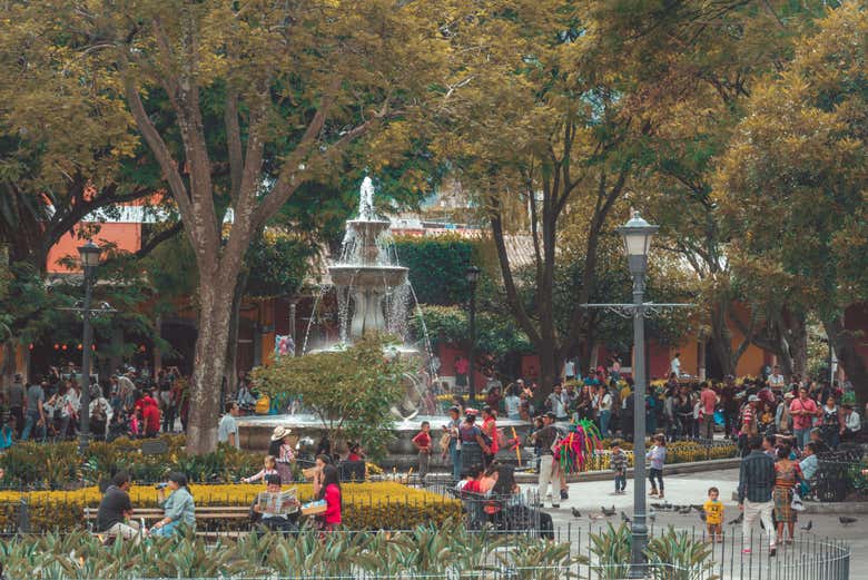 Imagen 4