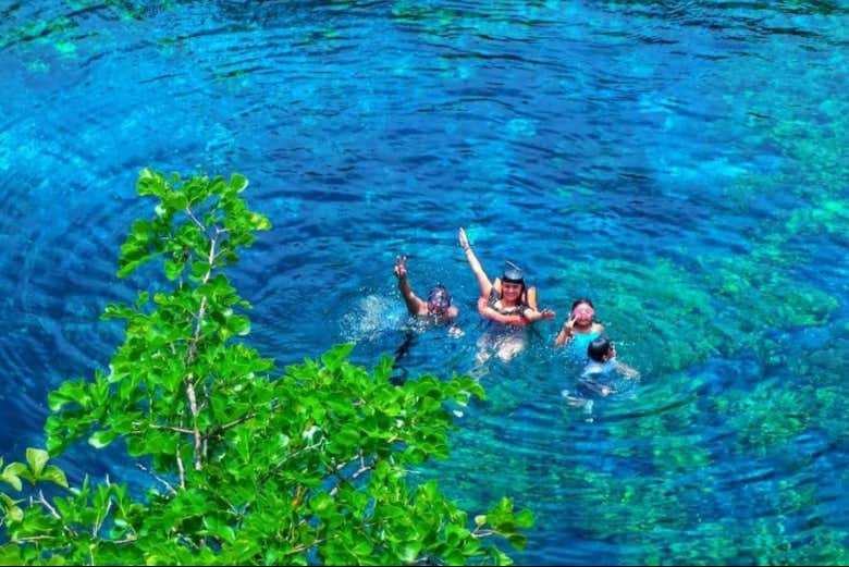 Imagen 6