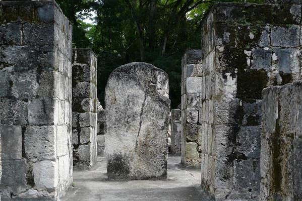 Imagen 5