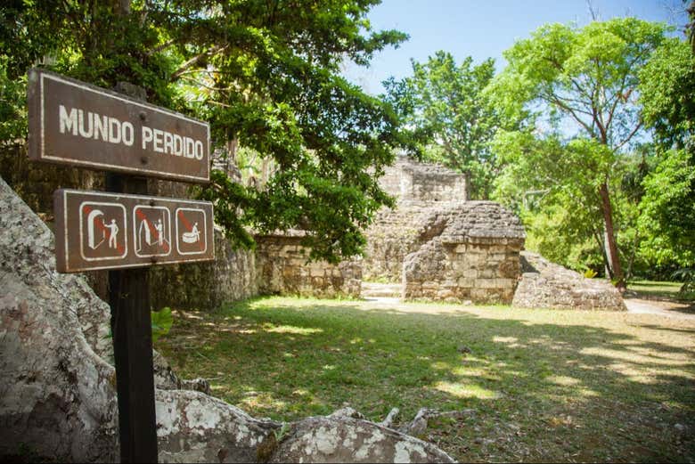 Ver más fotos