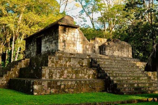 Imagen 4