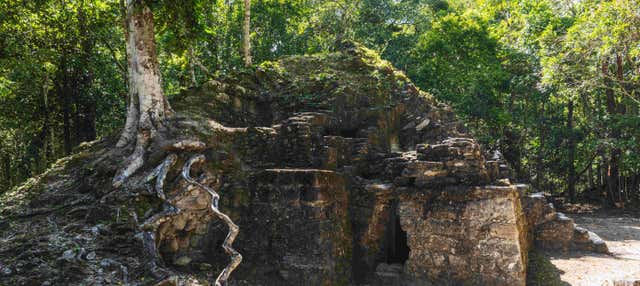 Trekking di 5 giorni di El Mirador ed El Tintal
