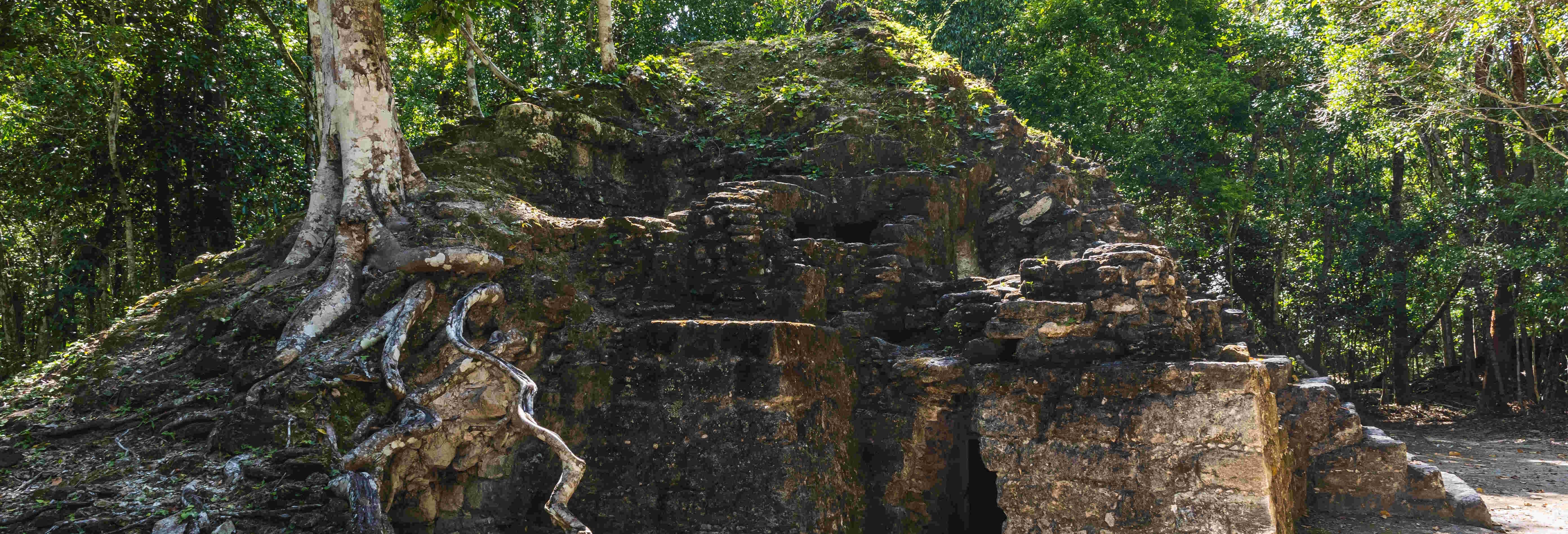 El Mirador & El Tintal: 5 Day Tour Package