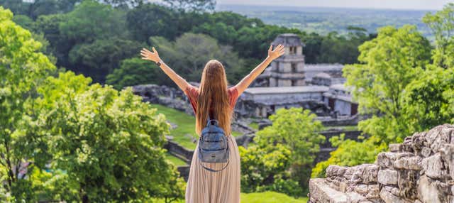 Transfer per Palenque